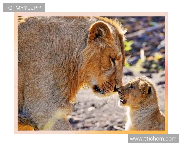 伊萨克的传奇旅程：探索科学与艺术交汇的奇妙世界