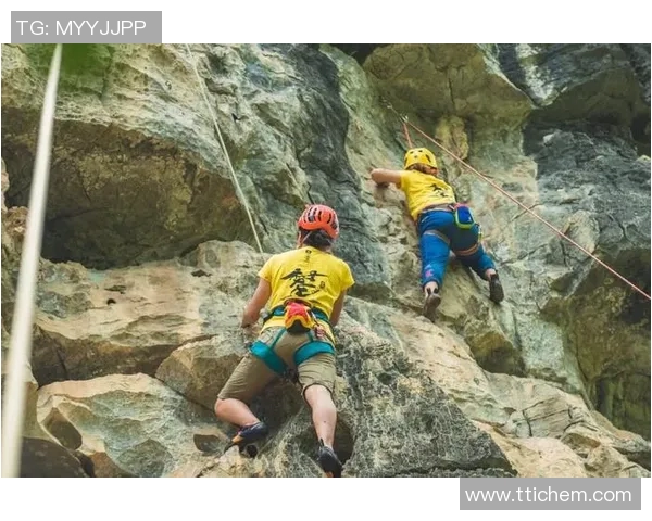 尼斯与圣旺红星激战正酣精彩赛事回顾与分析